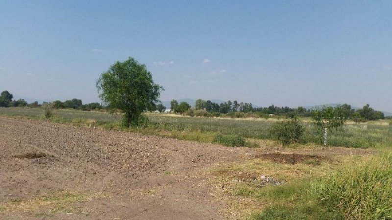 Foto Terreno en Venta en SAN CAYETANO, Celaya, Guanajuato - $ 110 - TEV250455 - BienesOnLine