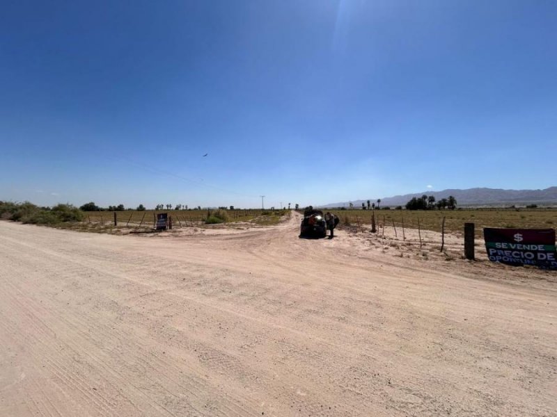 Terreno en Venta en Cerro Prieto ll Mexicali, Baja California