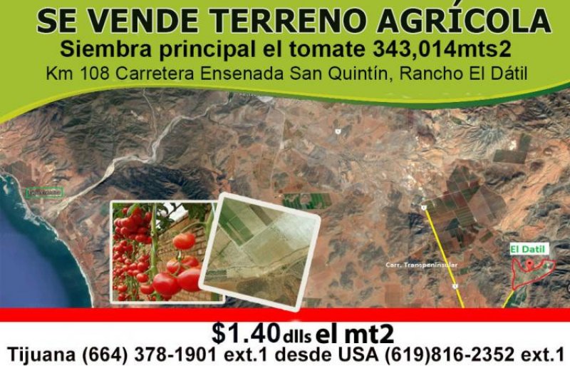 Foto Terreno en Venta en San Quintín, Baja California - TEV189686 - BienesOnLine