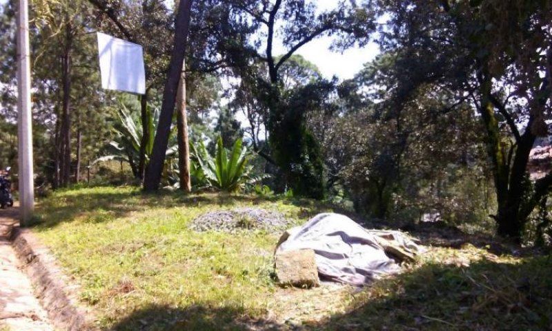 Foto Terreno en Venta en Avandaro, Valle de Bravo, Mexico - $ 1.800.000 - TEV150310 - BienesOnLine