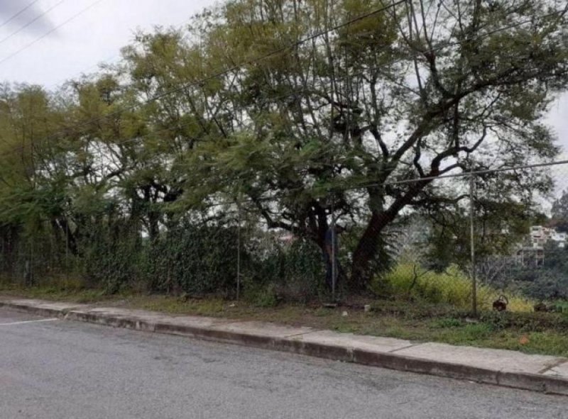 Foto Terreno en Venta en ALPUYECA, Xochitepec, Morelos - $ 584.000 - TEV311507 - BienesOnLine