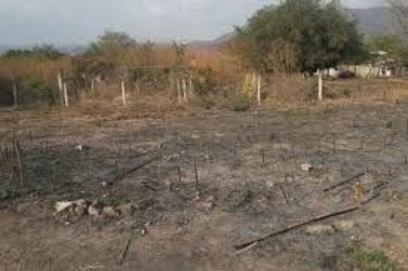 Terreno en Venta en Loma de los coyotes Iguala de la Independencia, Guerrero