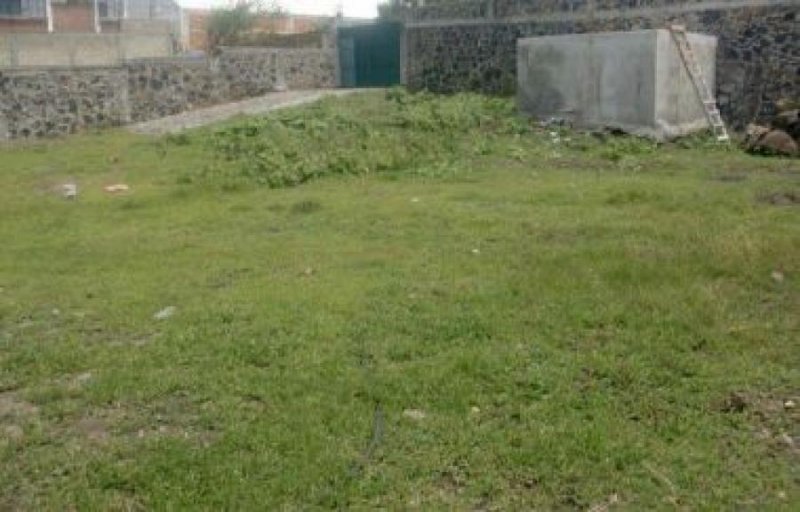 Foto Terreno en Venta en LAS PALMAS, Cuernavaca, Morelos - $ 6.500.000 - TEV314094 - BienesOnLine