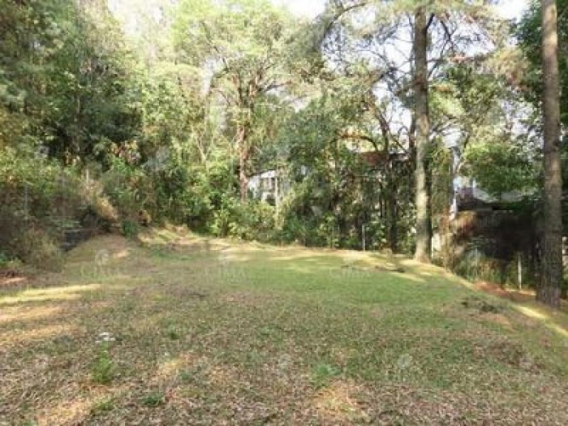 Foto Terreno en Venta en SAN JOSE, Iguala de la Independencia, Guerrero - $ 378.000 - TEV314800 - BienesOnLine