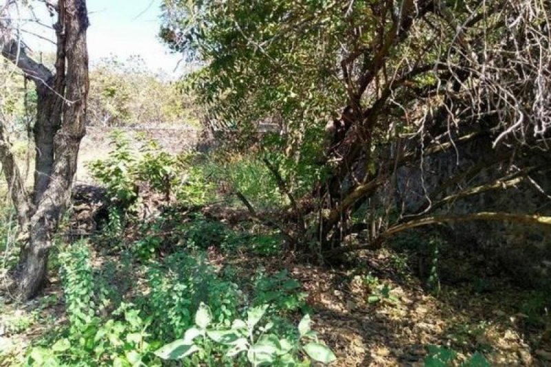 Foto Terreno en Venta en PUNTA DIAMANTE, Acapulco de Juárez, Guerrero - $ 4.160.000 - TEV314527 - BienesOnLine