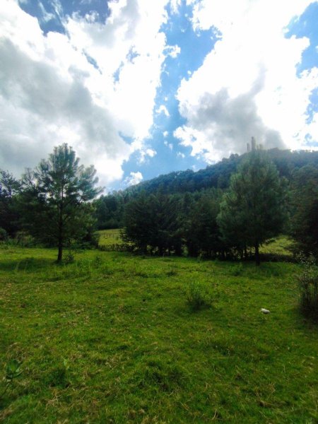 Terreno boscoso, a solo 20 minutos de tapalpa.