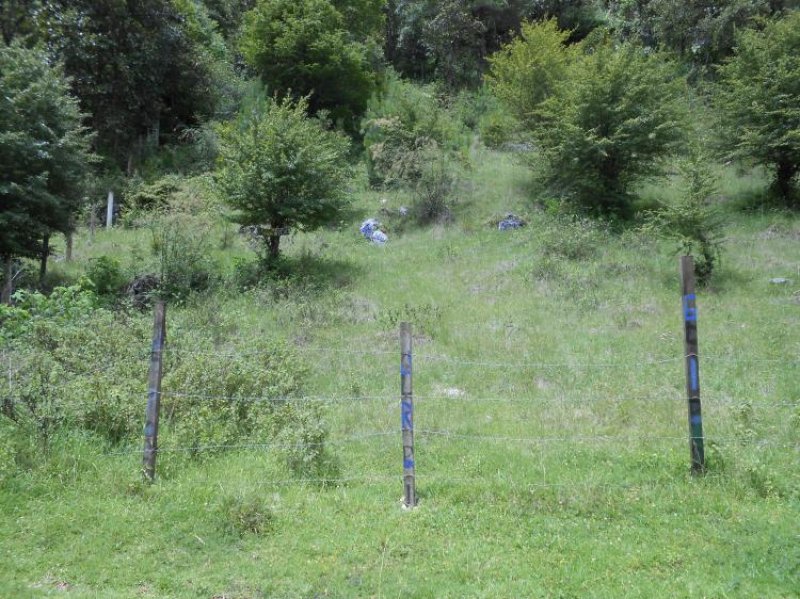 Terreno en Venta en La Canasta San Cristóbal de las Casas, Chiapas