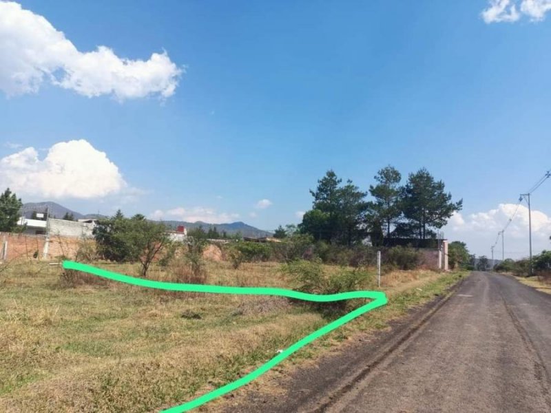 Terreno en Venta en  Morelia, Michoacan de Ocampo