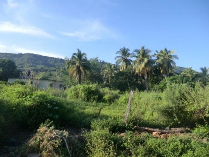 Terreno en Venta en chacahua Villa de Tututepec de Melchor Ocampo, Oaxaca