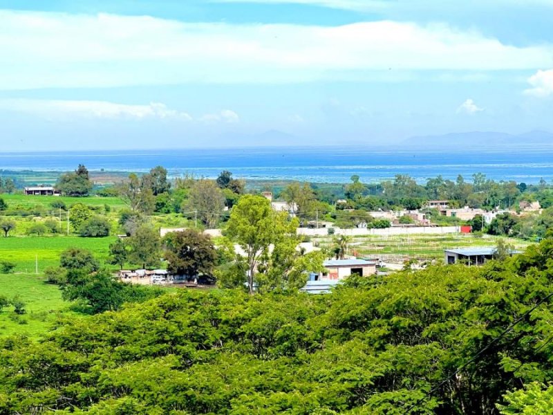 Terreno en Venta en  Chapala, Jalisco