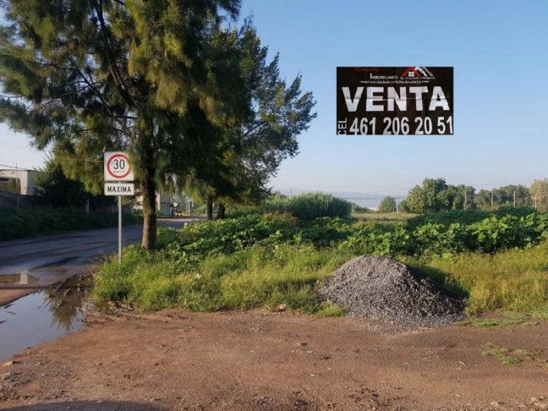 Foto Terreno en Venta en FRENTE A LA CANTERA, Celaya, Guanajuato - $ 1.590.000 - TEV250444 - BienesOnLine