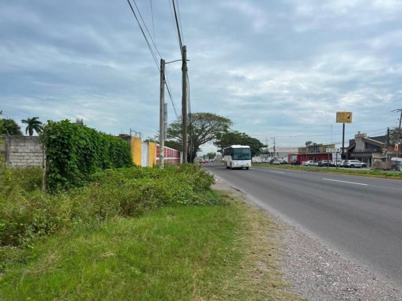 Foto Terreno en Venta en Amapolas, Veracruz, Veracruz - $ 13.406.400 - TEV349453 - BienesOnLine