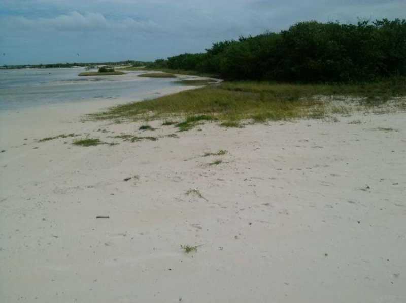 Foto Terreno en Venta en Isla Blanca, Isla Mujeres, Quintana Roo - $ 13.500.000 - TEV130362 - BienesOnLine