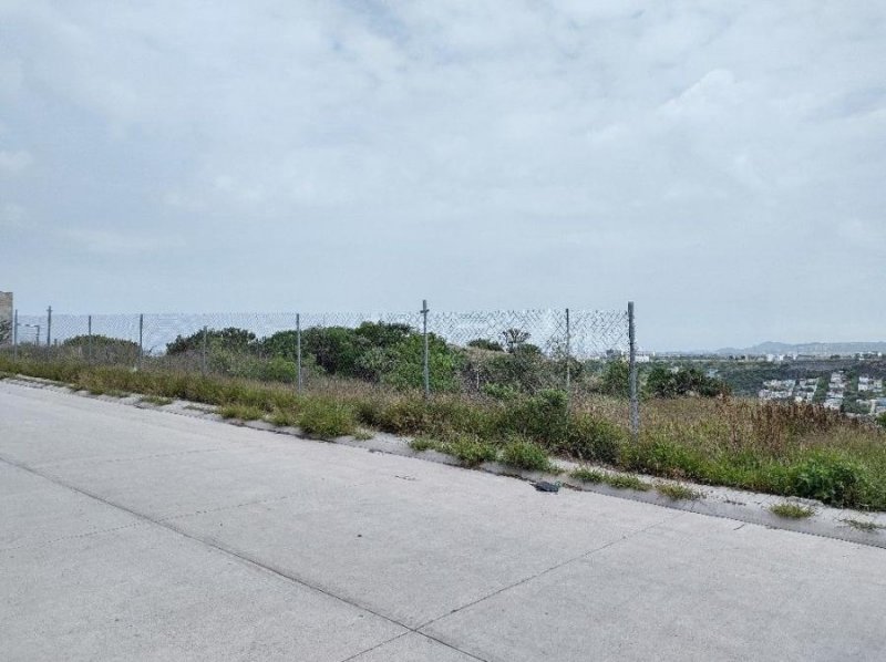 Foto Terreno en Venta en Milenio, Santiago de Querétaro, Queretaro Arteaga - $ 10.500.000 - TEV324840 - BienesOnLine