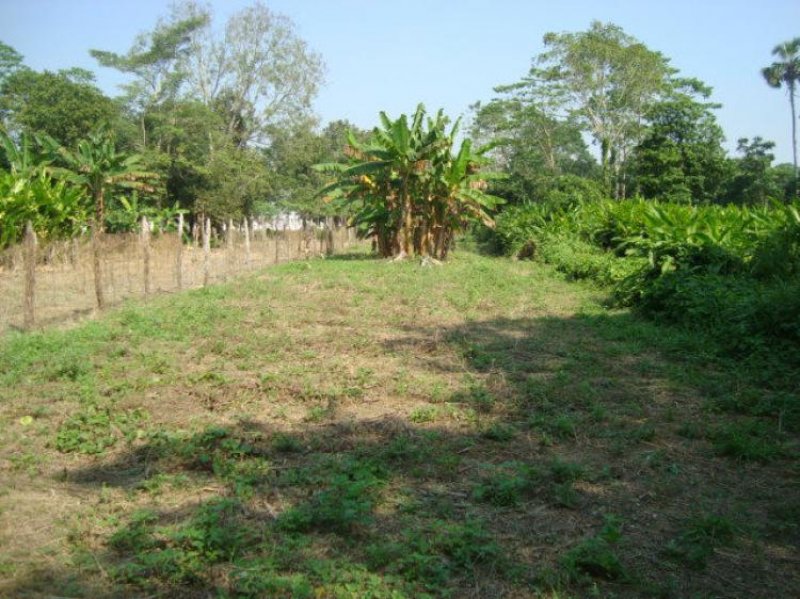 Foto Terreno en Venta en Boqueron, Río Viejo 1a. Sección, Tabasco - $ 450.000 - TEV163285 - BienesOnLine