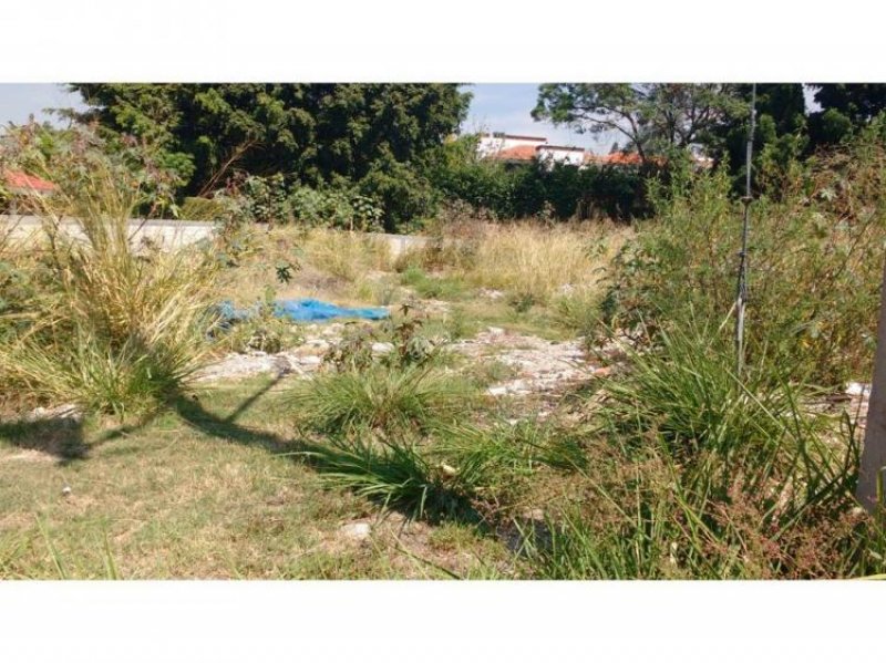 Foto Terreno en Venta en Lomas de Cocoyoc, Fraccionamiento Lomas de Cocoyoc, Morelos - $ 2.200.000 - TEV166008 - BienesOnLine