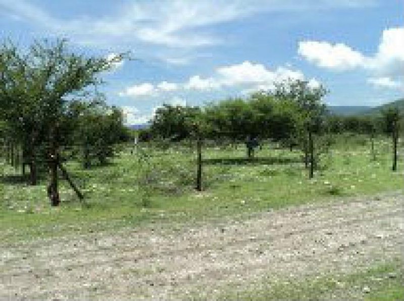 Foto Terreno en Venta en baranca honda, Tlaltizapán, Morelos - $ 65.000 - TEV131023 - BienesOnLine