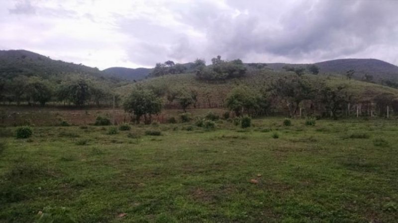 Foto Terreno en Venta en Col. Petaquilas, Chilpancingo de los Bravo, Guerrero - $ 1.850.000 - TEV129249 - BienesOnLine