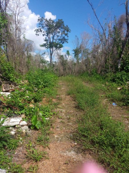 Terreno en Venta en FRANCISCO UH MAY TULUM, Quintana Roo