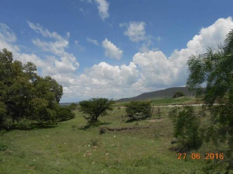 Foto Terreno en Venta en Apaxco de Ocampo, Apaxco de Ocampo, Mexico - $ 250 - TEV229905 - BienesOnLine