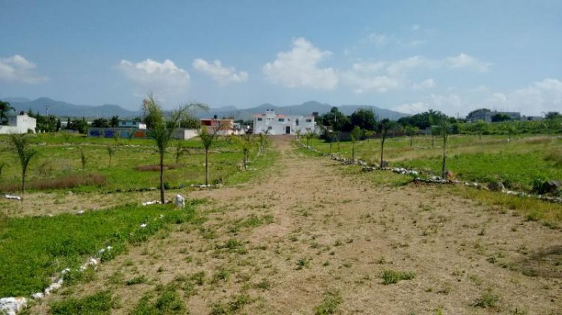 Foto Terreno en Venta en Atlatlahucan, Morelos - $ 142.500 - TEV185938 - BienesOnLine