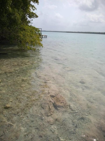 Foto Terreno en Venta en Bacalar, Quintana Roo - $ 4.500.000 - TEV314188 - BienesOnLine