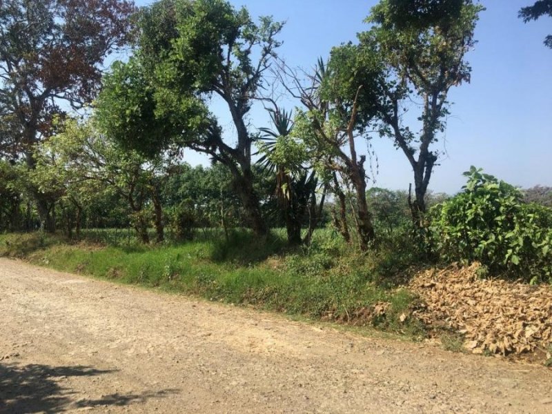 TERRENO EN CALLE 11 SUR, HUATUSCO, VER.