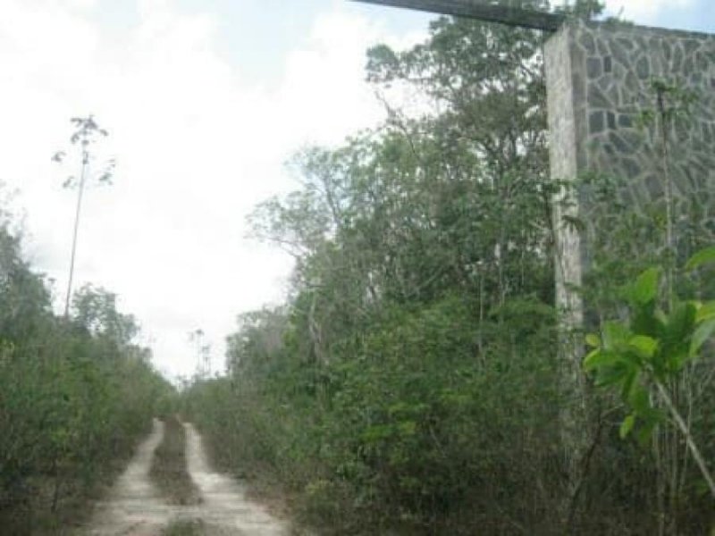 Foto Terreno en Venta en Cancún, Quintana Roo - 210 hectareas - U$D 40.000.000 - TEV243657 - BienesOnLine