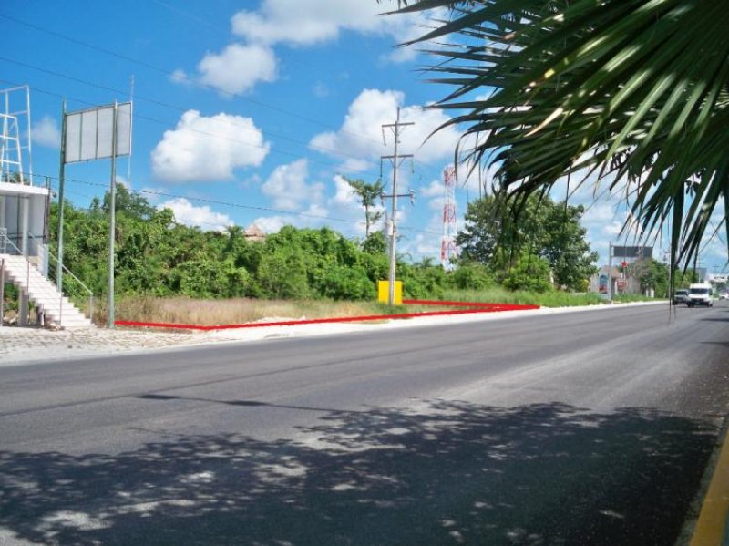 Foto Terreno en Venta en Ejido, Playa del Carmen, Quintana Roo - U$D 999.116 - TEV143362 - BienesOnLine