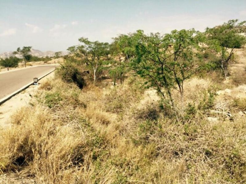 Foto Terreno en Venta en Cabo San Lucas, Baja California Sur - U$D 218.000 - TEV194986 - BienesOnLine