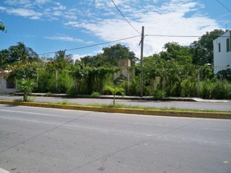 Foto Terreno en Venta en Ejido, Playa del Carmen, Quintana Roo - $ 2.500.000 - TEV143373 - BienesOnLine