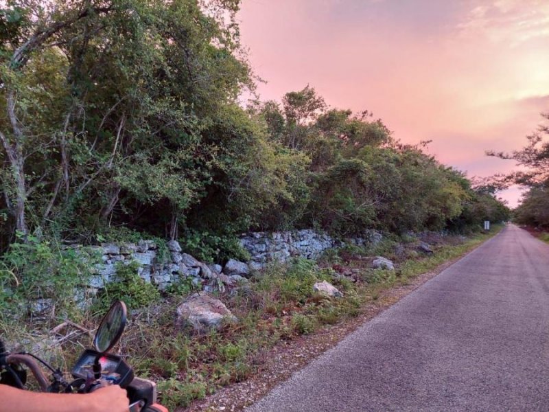 Terreno en Venta en  Dzemul, Yucatan