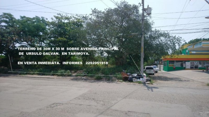 Foto Terreno en Venta en tarimoya, Veracruz, Veracruz - $ 2.050.000 - TEV277011 - BienesOnLine