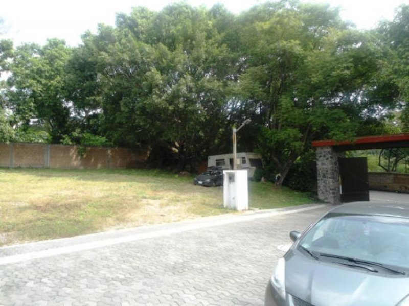 Foto Terreno en Venta en Acapantzingo, Cuernavaca, Morelos - $ 1.885.633 - TEV134956 - BienesOnLine