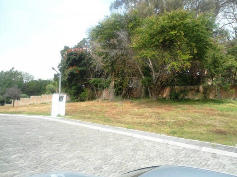 Foto Terreno en Venta en Acapantzingo, Cuernavaca, Morelos - $ 1.757.847 - TEV134967 - BienesOnLine