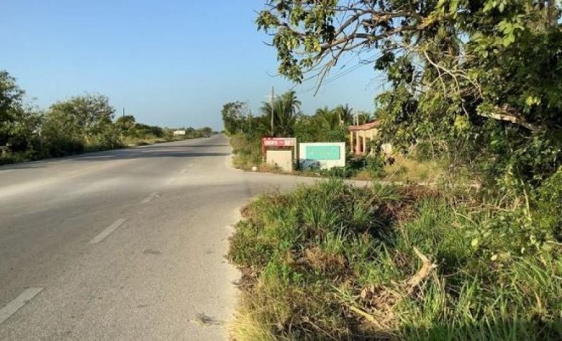 Foto Terreno en Venta en Progreso, Yucatan - $ 244.500 - TEV305320 - BienesOnLine