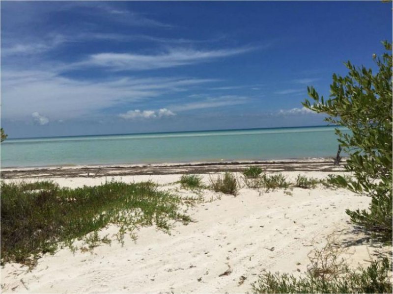 Foto Terreno en Venta en Holbox, Quintana Roo - U$D 200.000 - TEV149115 - BienesOnLine