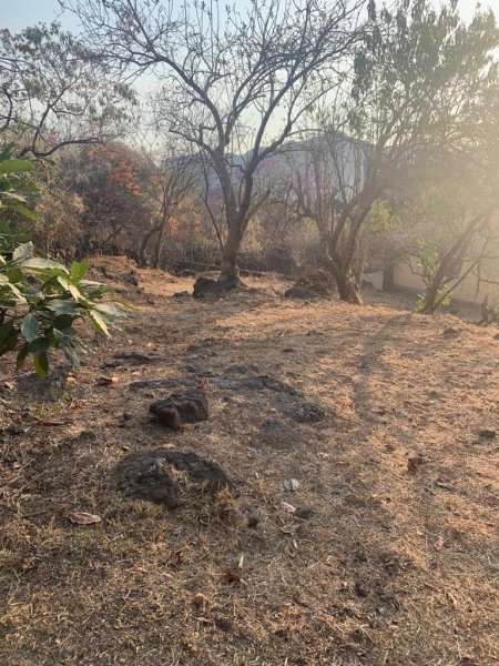 Terreno en Venta en Santo Domingo Tepoztlán, Morelos