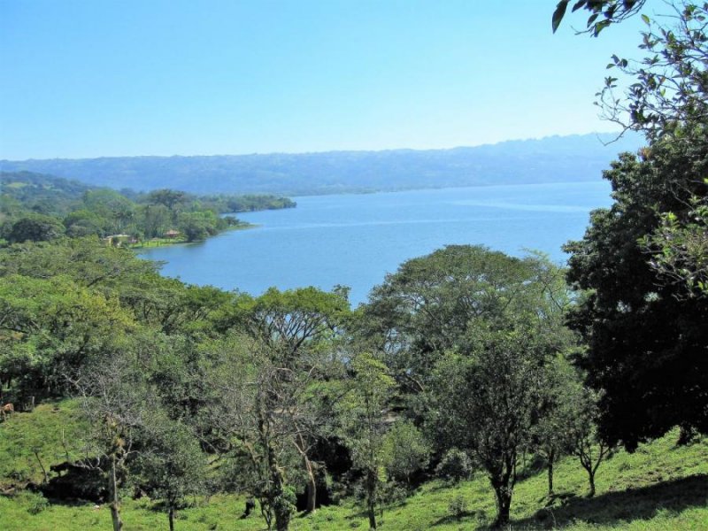 TERRENO EN LAGUNA DE CATEMACO 11,820.00 Mt2