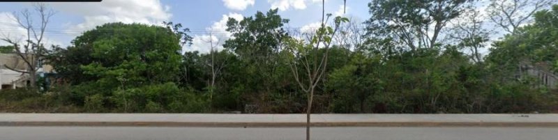 Terreno en Venta en Macario Gómez Tulum, Quintana Roo