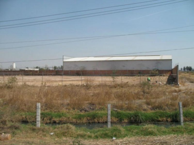 Foto Terreno en Renta en RANCHO GRANDE, Irapuato, Guanajuato - $ 35.000 - TER82640 - BienesOnLine