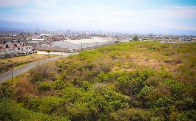 Foto Terreno en Renta en Praderas del Quinceo, Morelia, Michoacan de Ocampo - $ 45.000 - TER246824 - BienesOnLine