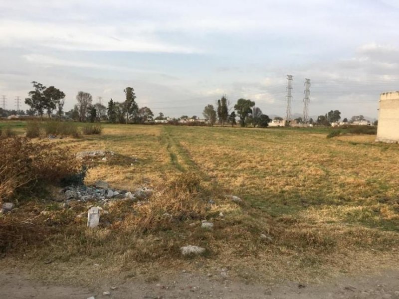 Foto Terreno en Renta en Texcoco de Mora, Mexico - $ 190.000 - TER259803 - BienesOnLine