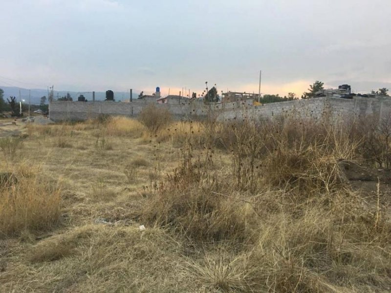 Foto Terreno en Venta en Texcoco de Mora, Mexico - $ 350.000 - TEV259790 - BienesOnLine