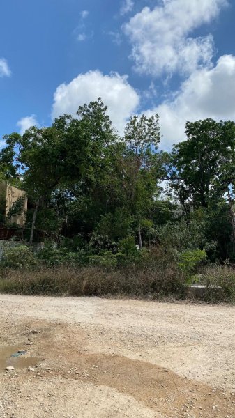 Foto Terreno en Venta en CALLE 31 ENTRE CALLE 22 Y CALLE 26, Tulum, Quintana Roo - $ 1.706.250 - TEV343675 - BienesOnLine