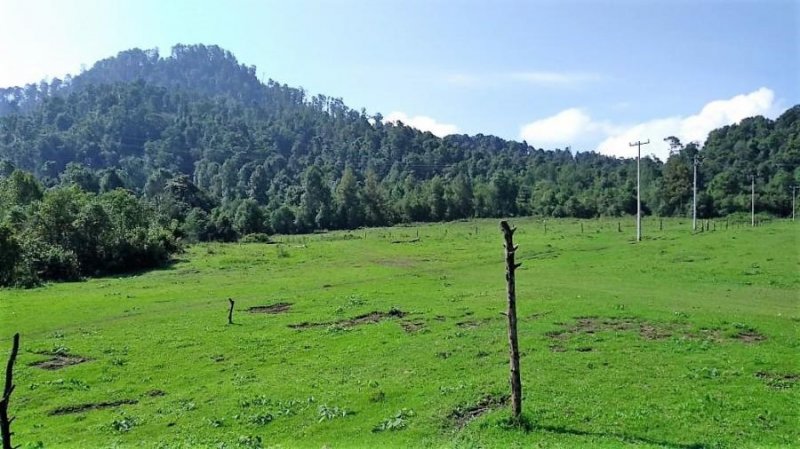 Foto Terreno en Venta en SAN AGUSTÍN DE LAS HUERTAS, Valle de Bravo, Mexico - 81 hectareas - $ 100 - TEV261233 - BienesOnLine