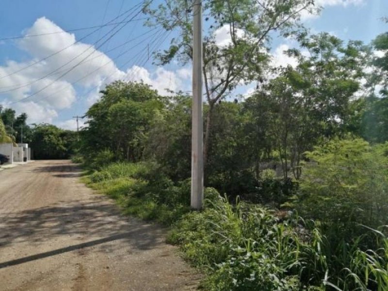 Foto Terreno en Venta en SAN LORENZO, S/N, Yucatan - $ 195.800 - TEV312818 - BienesOnLine