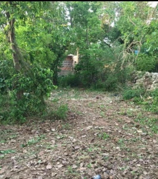 Foto Terreno en Venta en FIDEL VELAZQUEZ, S/N, Yucatan - $ 135.000 - TEV313447 - BienesOnLine