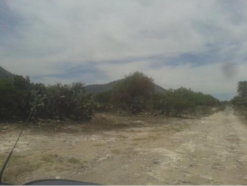 Foto Terreno en Venta en Jolalpan, Tepetlaoxtoc de Hidalgo, Mexico - 5 hectareas - $ 300 - TEV225149 - BienesOnLine