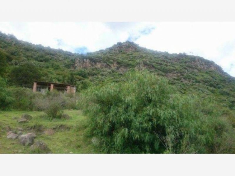 Foto Terreno en Venta en La Purificacion, Texcoco de Mora, Mexico - $ 400 - TEV225160 - BienesOnLine